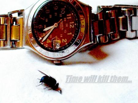 MONTRE