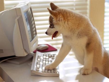 computernerd